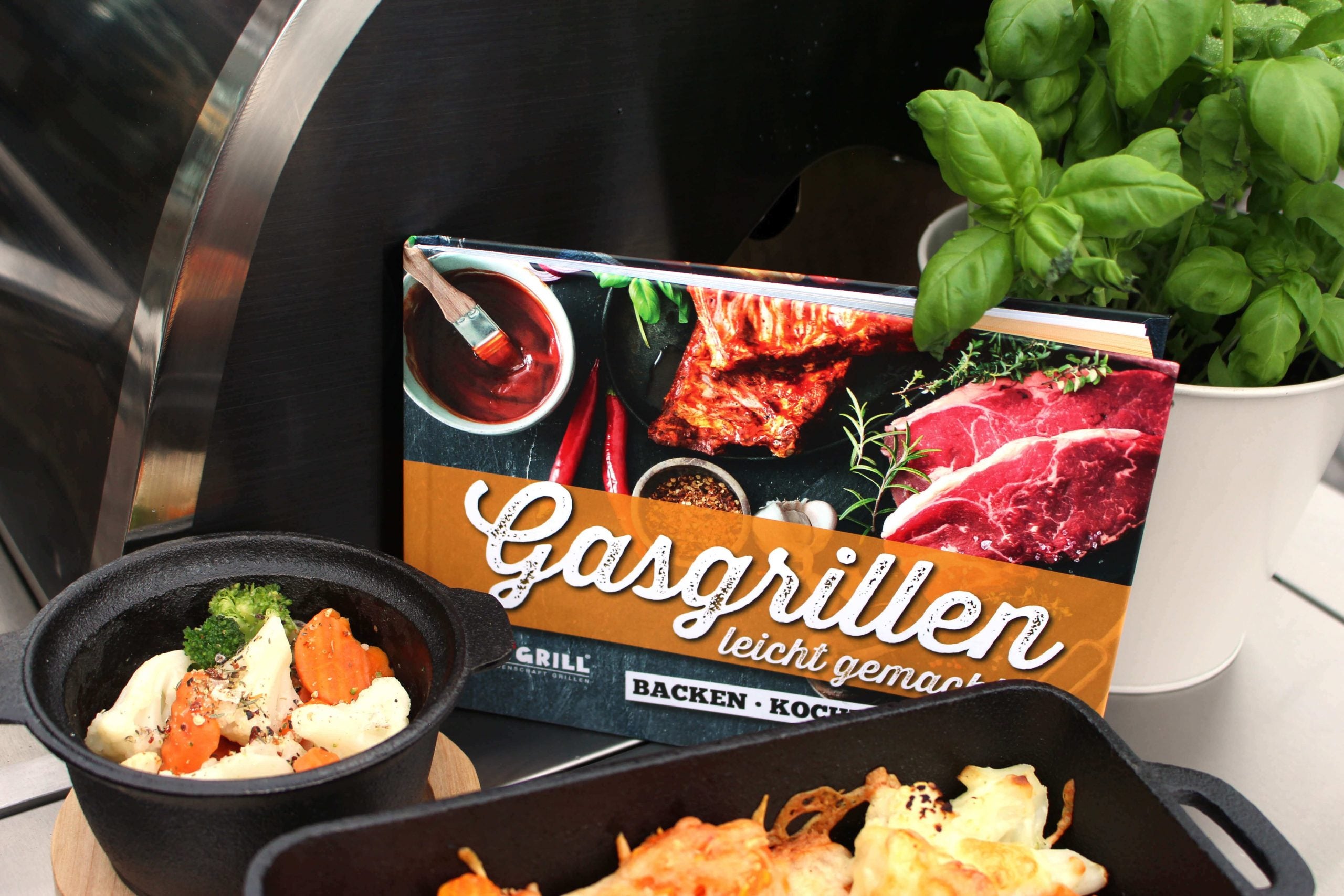 All'Grill Grillbuch: Gasgrillen leicht gemacht