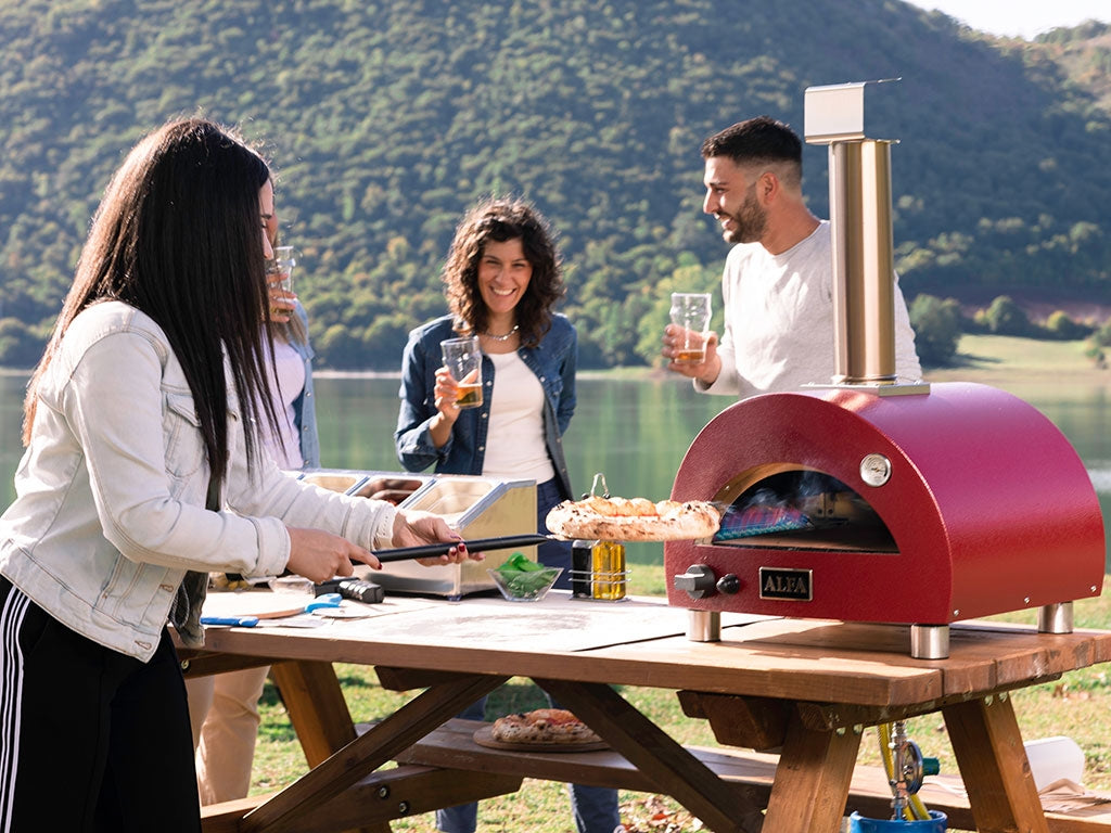 Alfa Forni Moderno Portable, Gas, Grau